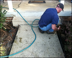 Dead animal removal Leesburg VA